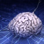 سلول‌های مغز انسان هوش مصنوعی می‌سازند