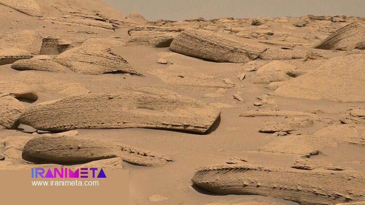 شکار استخوان اژدها در مریخ + عکس