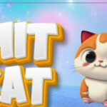 چیت‌کت (chitcat) چیست؟