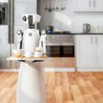 ربات خانه‌دار تا چند سال آینده به بازار می‌آید